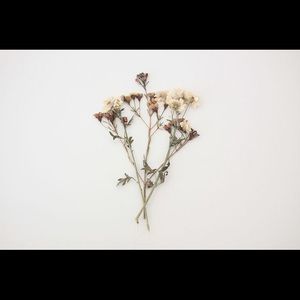 Meet your Posher, Tricia